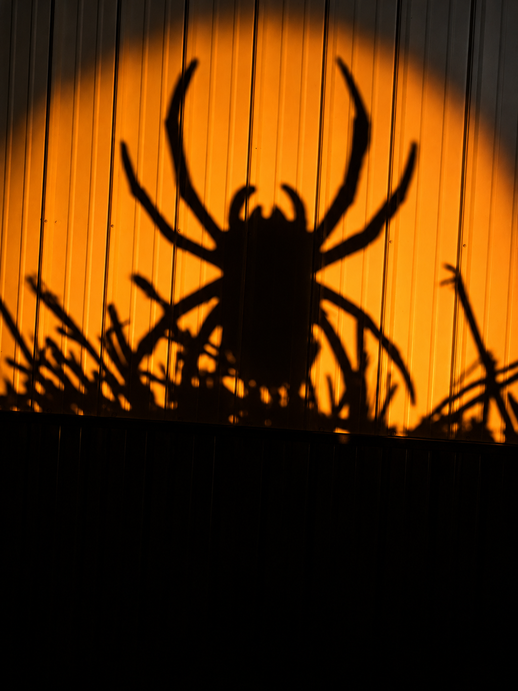 Spider Spooky Spike
