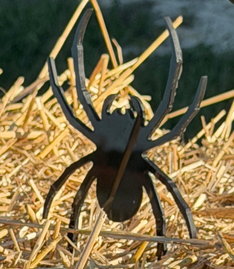 Spider Spooky Spike