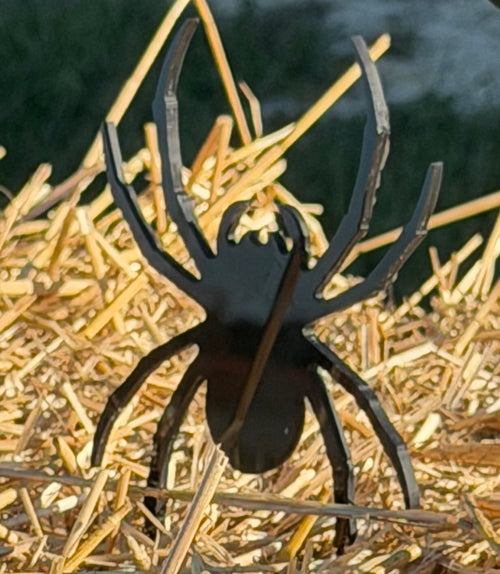 Spider Spooky Spike