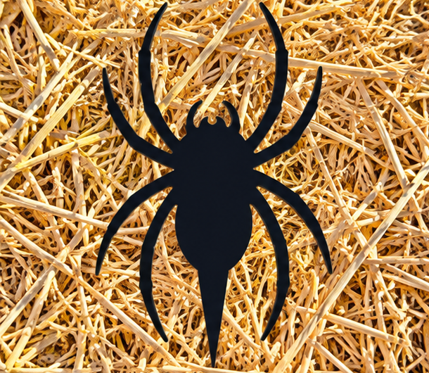 Spider Spooky Spike